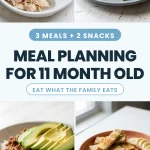 Meal Planning for an 11 Month Old (The Pre-Toddler Weekly Framework)