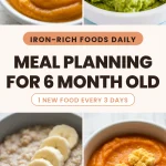 Meal Planning for a 6 Month Old (The First-Foods Weekly Framework)