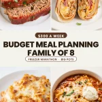 Meal Planning on a Budget Family of 8 (The Large Family Survival Guide)