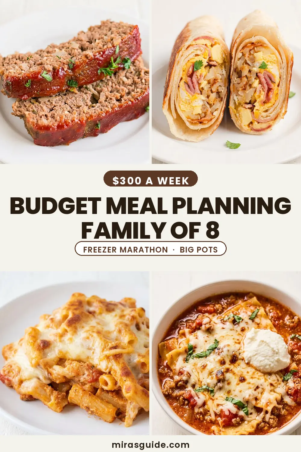 Meal Planning on a Budget Family of 8 (The Large Family Survival Guide)