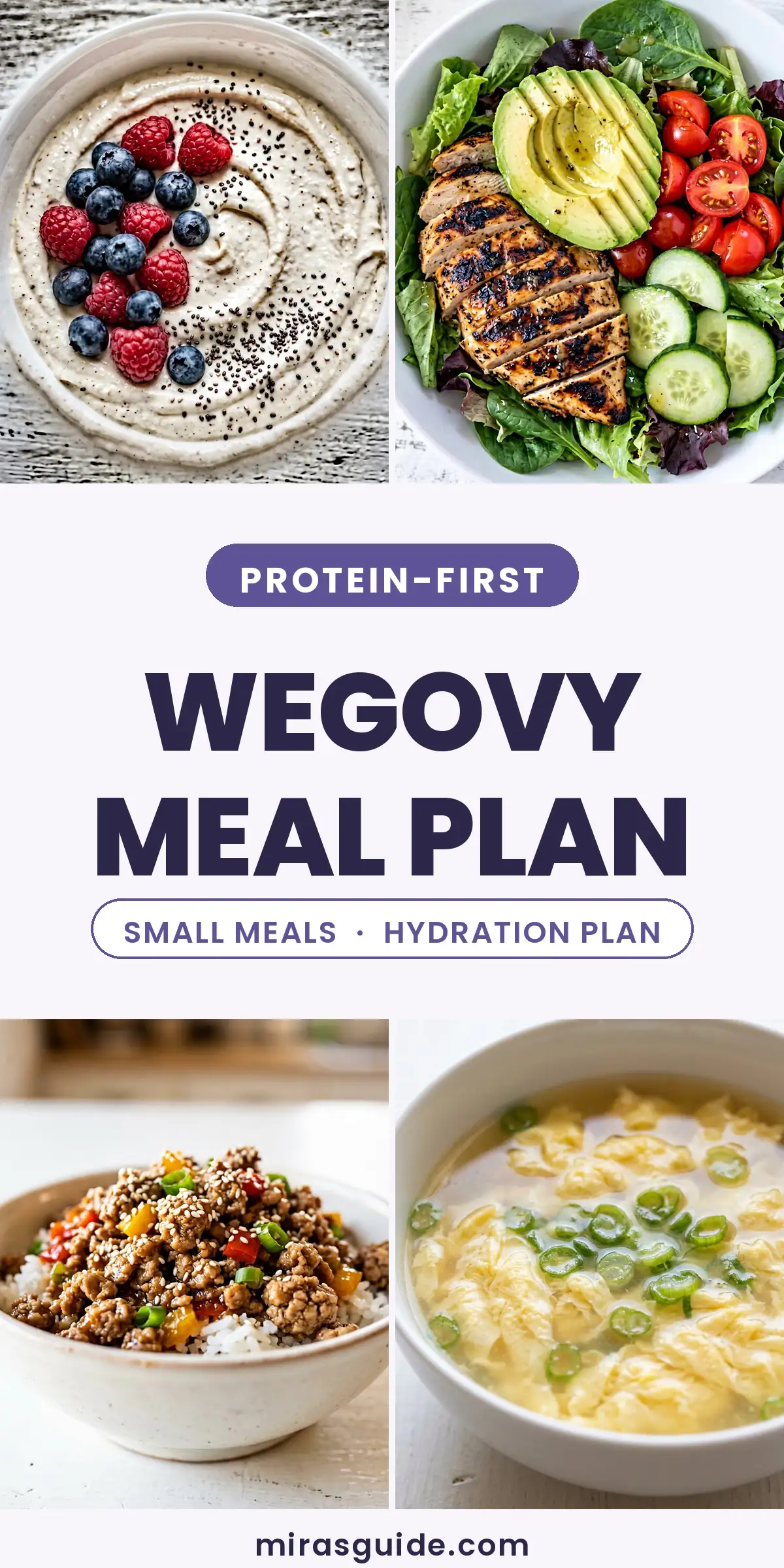 Wegovy Meal Plan Pinterest meal plan pin