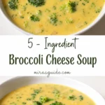 Bowl of broccoli cheese soup