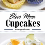 Blue Moon cupcakes — orange beer cupcakes with citrus frosting