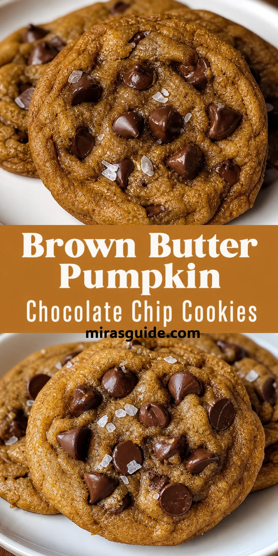 Chewy brown butter pumpkin chocolate chip cookies with melting chips and flaky salt